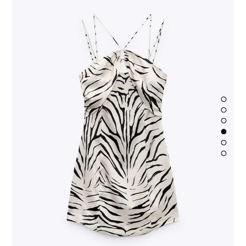 Zara animal print mini dress